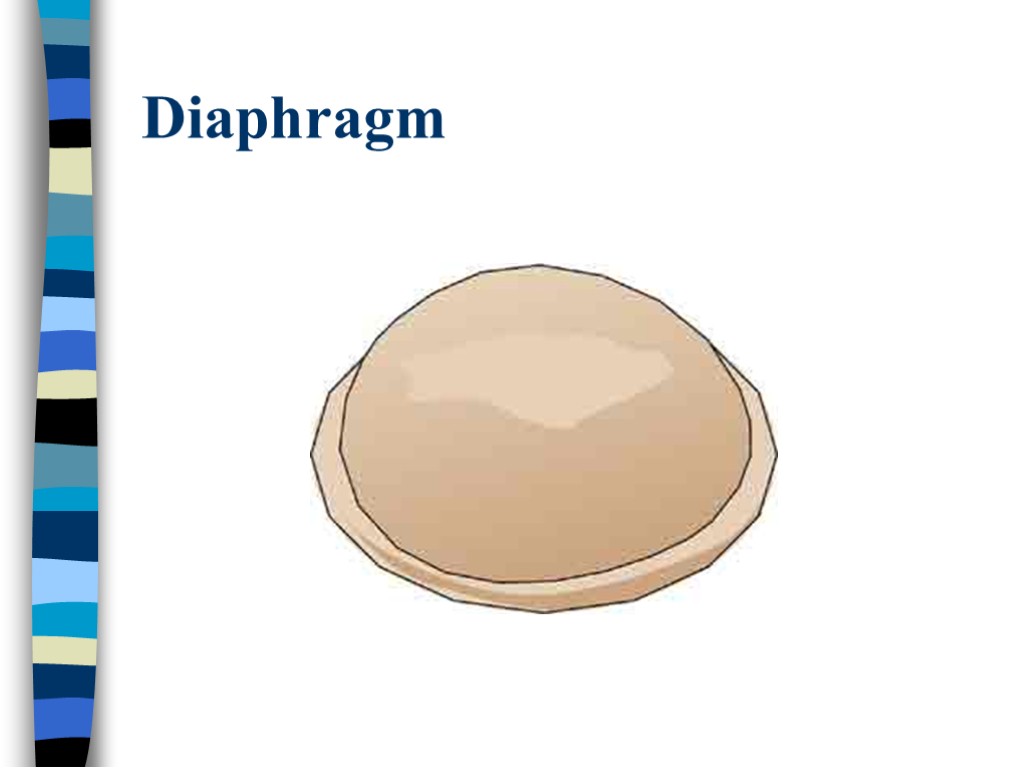 Diaphragm